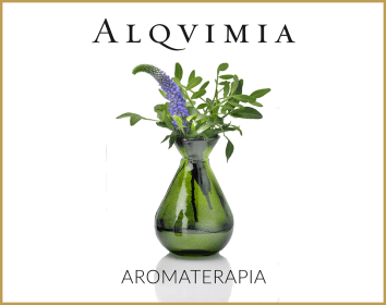 11703334_897864376950924_4982558735816269082_n