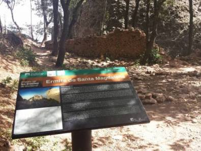 14265070_10209480342837077_6860984799275946290_n