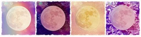 41554423_1148008062014358_7082944783898902528_n