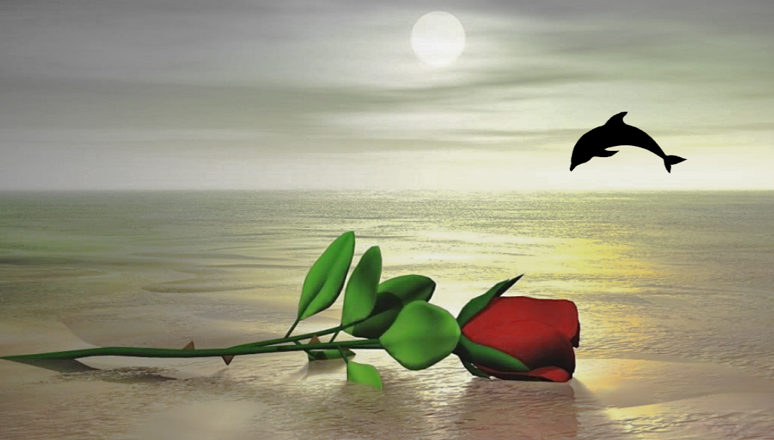 91922313_550298192269583_4136688701646307328_n