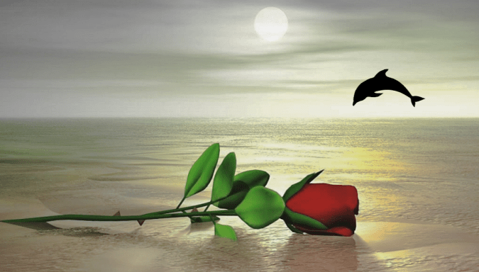 91922313_550298192269583_4136688701646307328_n